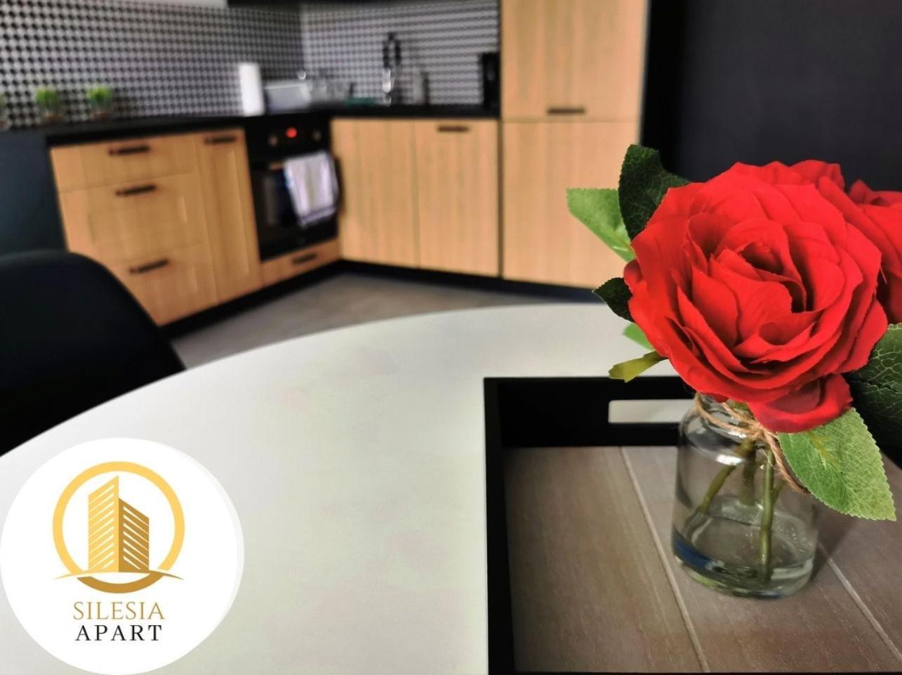 Apartament Granatowy 타이치 외부 사진