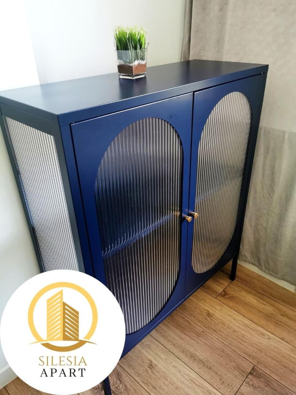 Apartament Granatowy 타이치 외부 사진